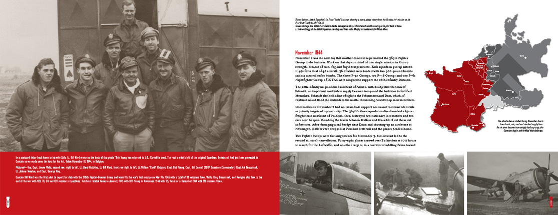 Hell Hawks book and history of the 365th fighter group